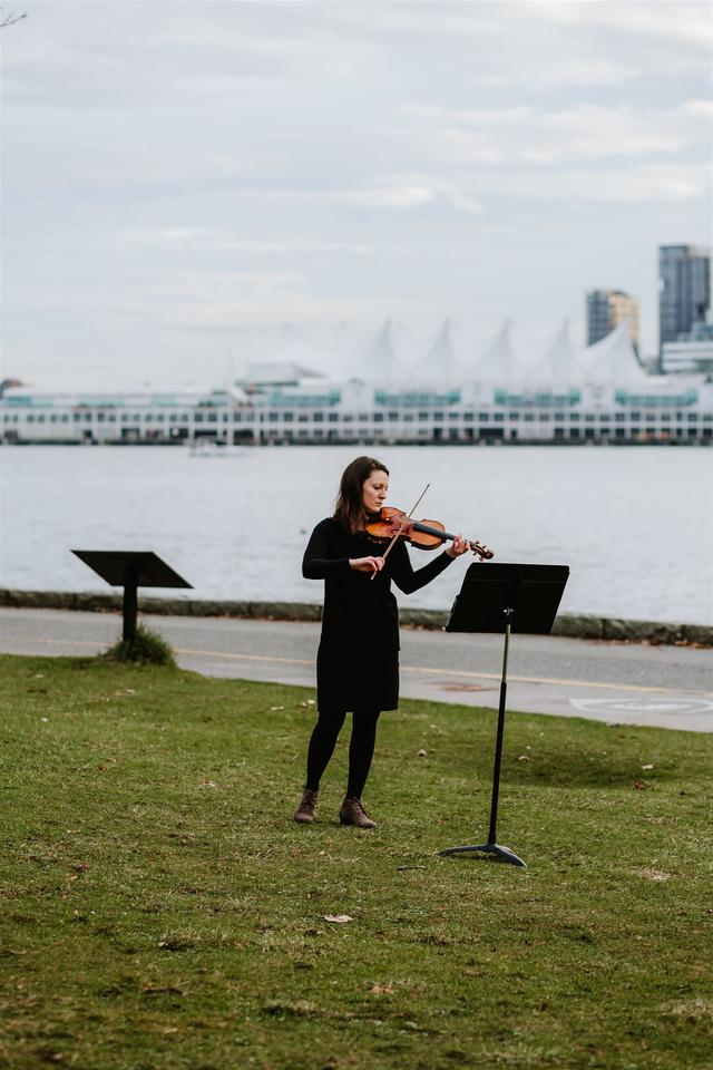 Violin for your Wedding - 2