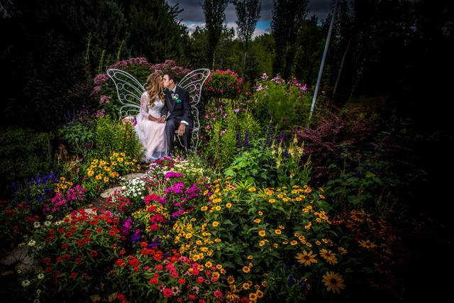 jamie dimitry photography 5