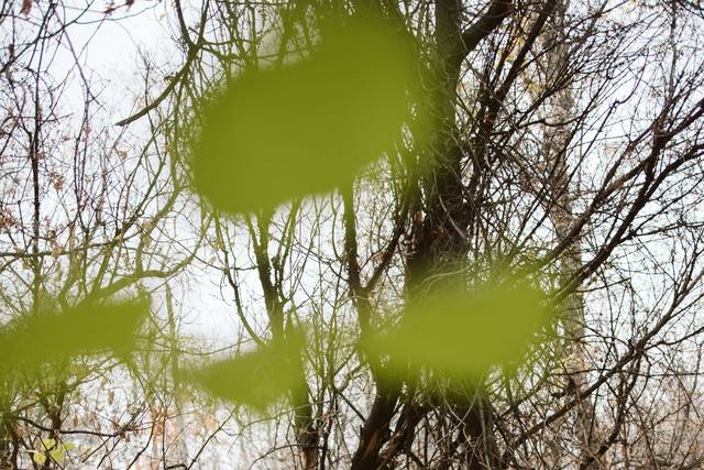 Lauren Hannah Photography 5