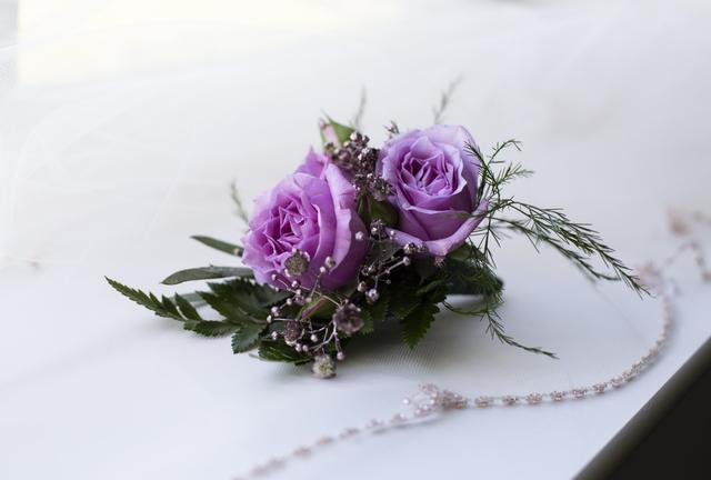 Aggie Clarke Photography - 2