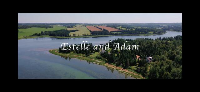 Jumbo Love Wedding Films - 3