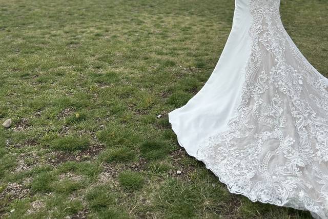 Blush & Lace Beginnings 3