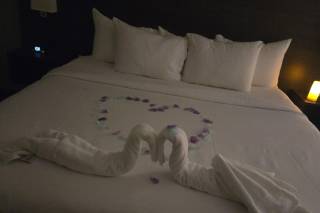 Quality Inn & Conference Centre Kingston Central - 6