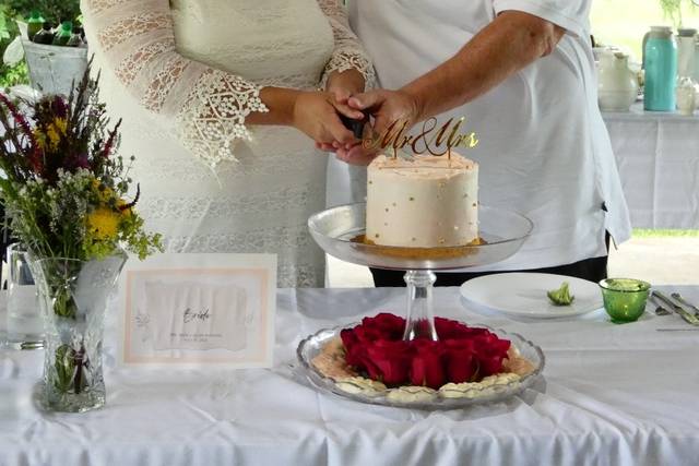 Nancy Carubba Licensed Officiant/ Ananda Love 1
