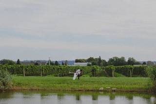 Bella Terra Vineyards - 7