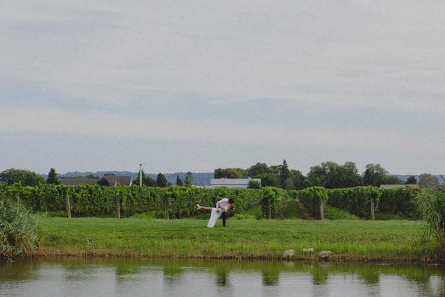 Bella Terra Vineyards - 4
