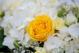 Sherri M Photography - 23