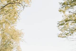 Leah Deline Photography - 5