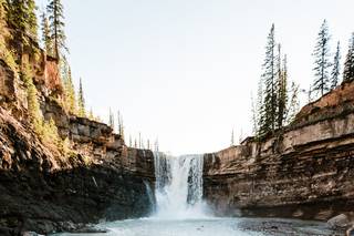 Film & Forest Photography - 9