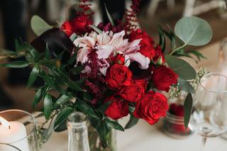 Bloom and Blossom - 13