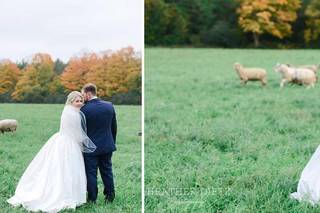 Heather Dietz Photography - 6