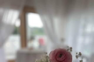 Elegant Creations - 6