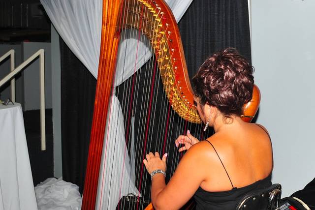 Divine Harp - Harpist - Wedding Music - Hamilton 