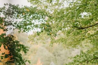 Sandra Monaco Photography - 17