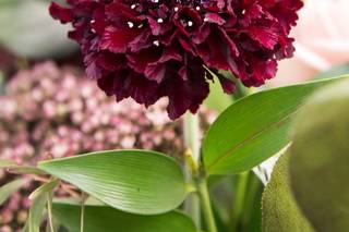Mountain Meadows Floral Arrangements - 5
