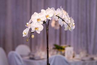 Beyond Infiniti Photography - 9