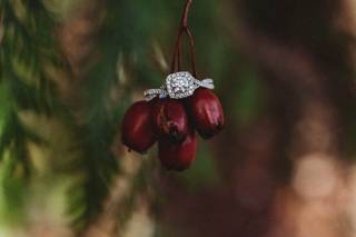 Picture Perfect Photography - 8