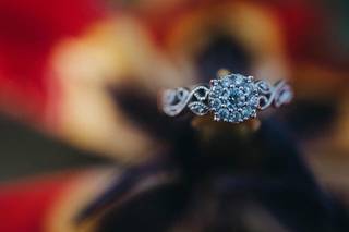 Picture Perfect Photography - 6