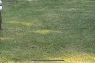 Bridal Beginnings - 9