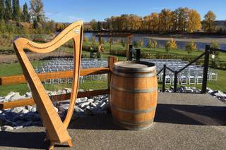 Shoshanna Godber - Celtic harp and voice - 3