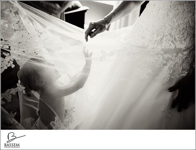 The Wedding House - 4