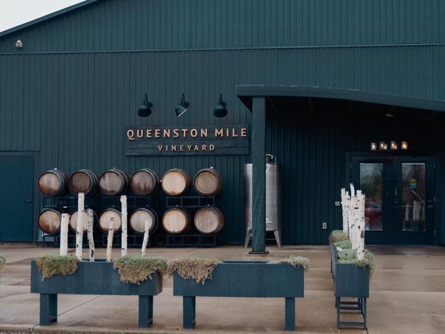 Queenston Mile Vineyard - 3
