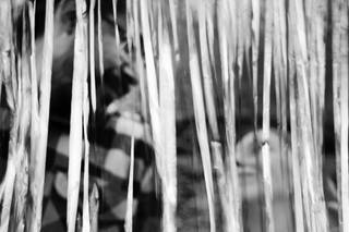 Deborah Kanfer Fine Art Photography - 7