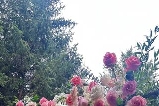 La Rose Flowers - 1