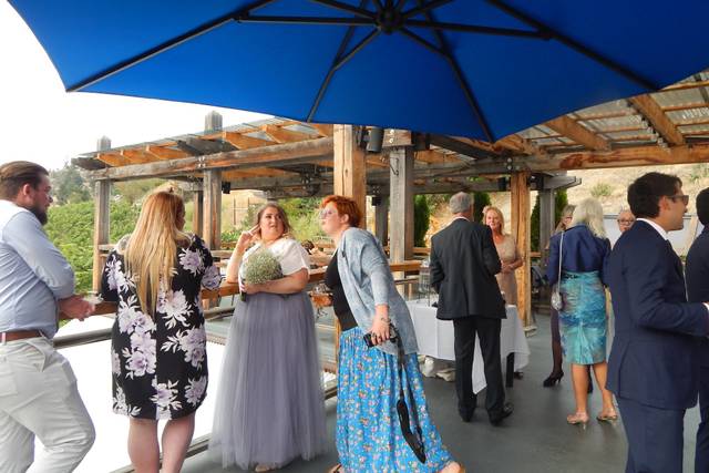 Hillside Winery & Bistro 1
