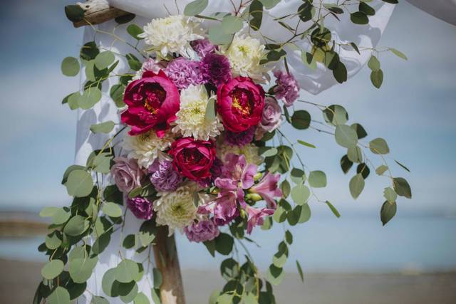 kenmarflowerfarm 5