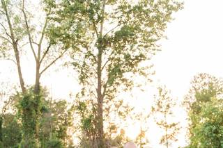 Amy Cheshire Photography - 6