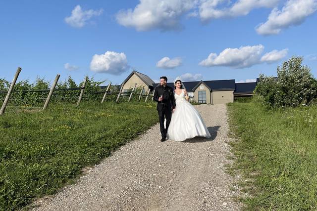 Adamo Estate Winery 4