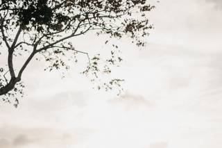 Yaylove Wedding Photography - 27