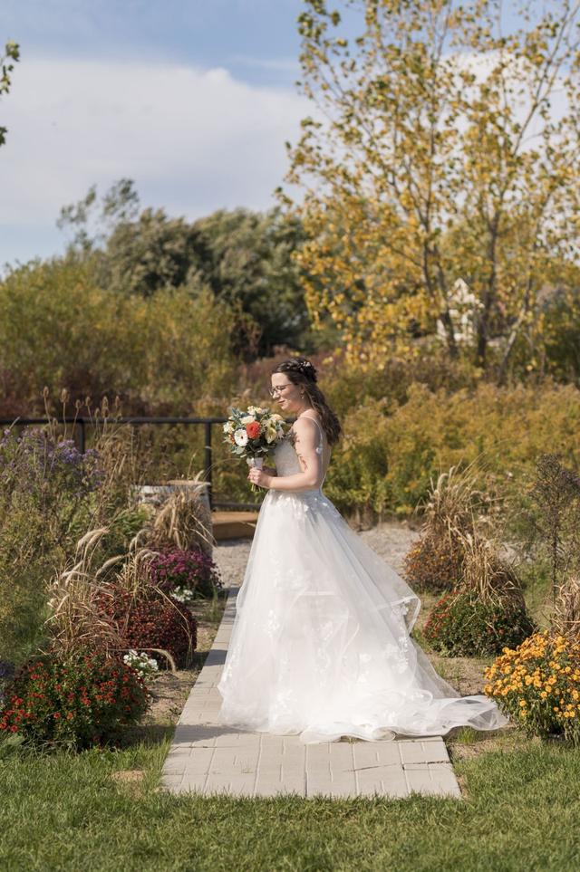 Promises and Lace - 2