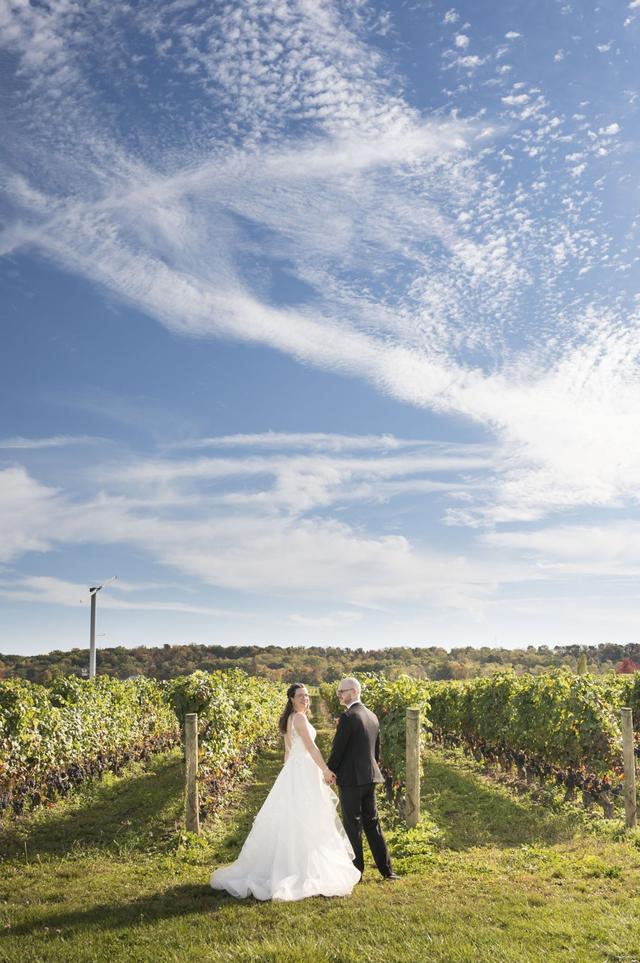 Queenston Mile Vineyard - 2