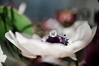 Rose Quartz Imagery - 11