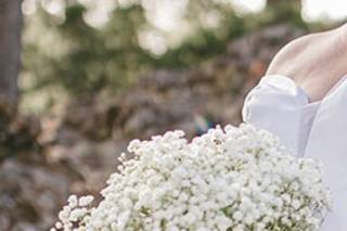 Banff Mountaintop Flowers - 11