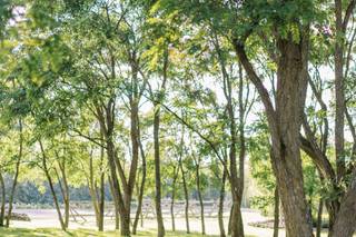 Stonefields Estate - 7
