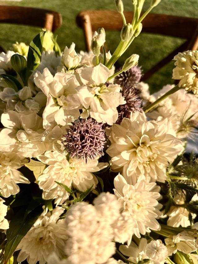 Harris Flower Farm - 2
