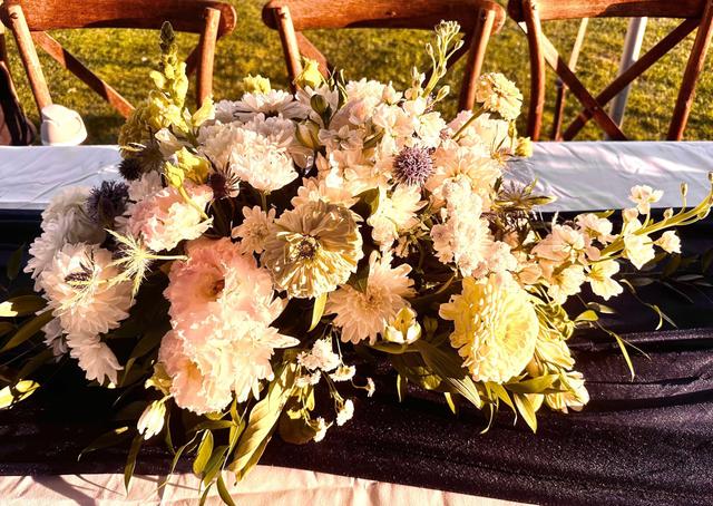 Harris Flower Farm - 1