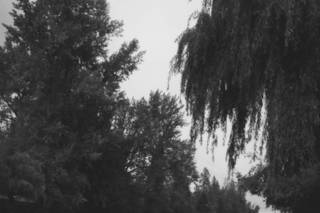 Fort Langley Golf Course - 7