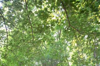 Xero Digital Photography - 8