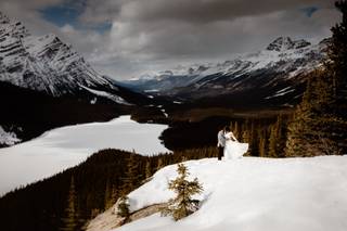 Film & Forest Photography - 5
