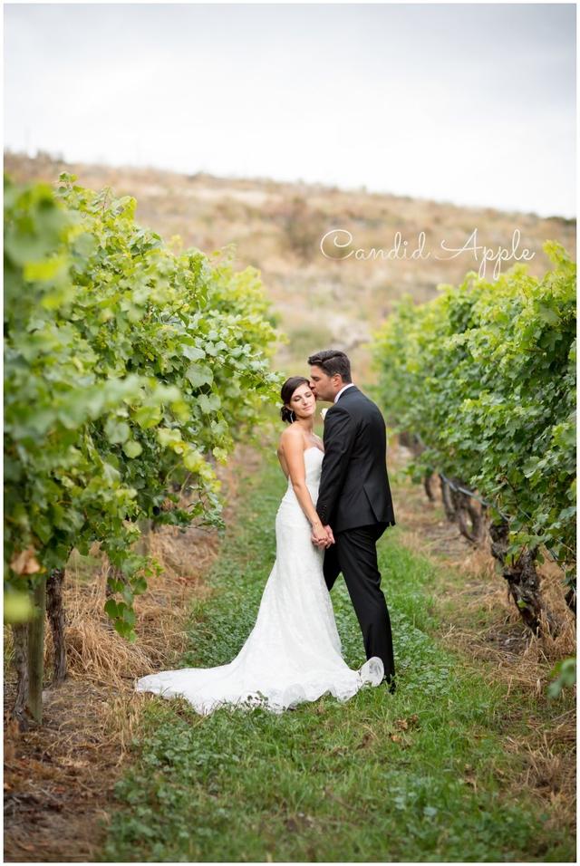 Hillside Winery & Bistro - 2