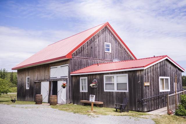 The Barn at Sadie Belle Farm 3