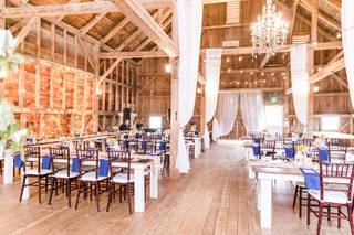 Ticklebelly Hill - 11