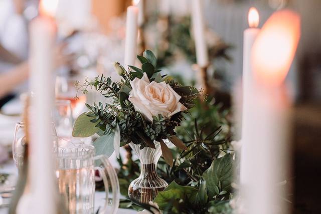Tara McHugh Flora 1