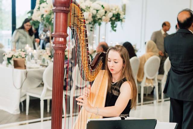 Chantal Dube, The Harpist 2