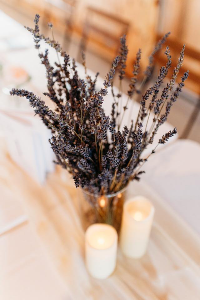 Lavender Ridge Farm - 2