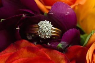 Willow Lane Photography - 8
